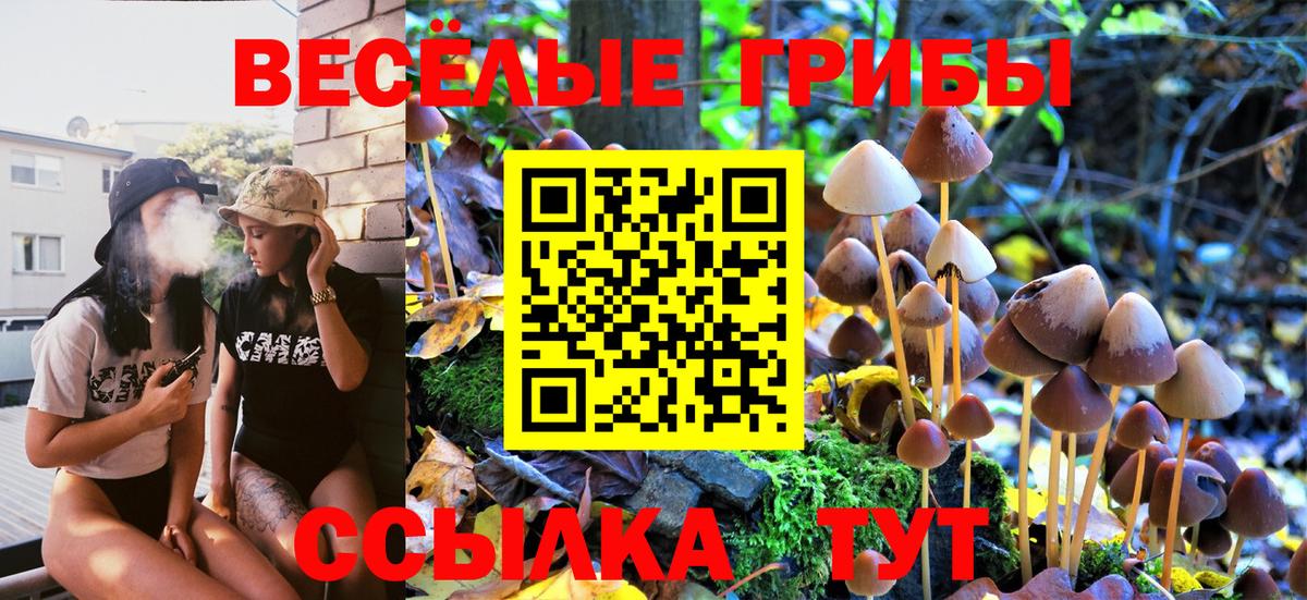 Тосно  Галлюциногенные грибы Psilocybine cubensis  Псилоцибиновые грибы ЛСД  Вход с VPN 